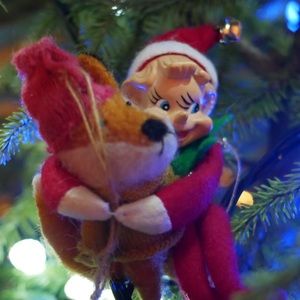 Meet your Posher, Peter